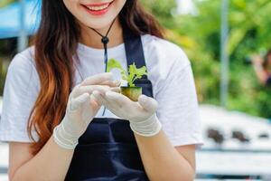 groeit groenten gebruik makend van water of hydrocultuur gebruik makend van zaden naar krijgen biologisch groenten dat zijn vrij van gifstoffen omdat hydrocultuur doet niet gebruik pesticiden. biologisch groente concept voor Gezondheid foto