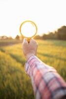 onderzoekers dragen vergroten bril over- gerst planten naar kijken voor fouten in de planten zo ze kan ontwikkelen nieuw variëteiten van gerst planten. ideeën voor gebruik makend van een vergroten glas naar helpen met zoeken foto