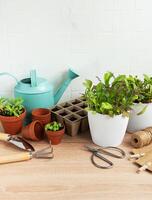 binnen- kruid tuin uitrusting met vers groen planten en tuinieren gereedschap foto