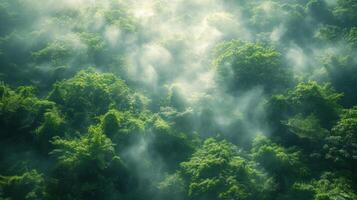 structuur van piekerig wolken het weven door de weelderig groen gebladerte toevoegen een dromerig kwaliteit naar de nu al ingewikkeld texturen van natuur foto