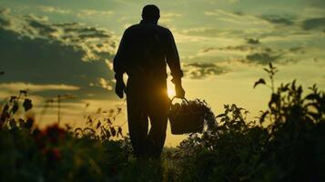 in de afstand een Mens kan worden gezien wandelen met een mand van vers geplukt fruit en groenten silhouet mengen in met de . foto