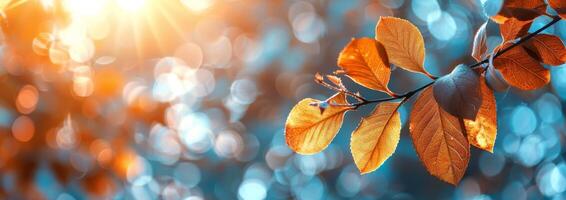 gouden herfst bladeren Aan een Afdeling met zonovergoten bokeh achtergrond foto