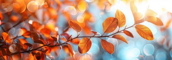 gouden herfst bladeren Aan een Afdeling met zonovergoten bokeh achtergrond foto