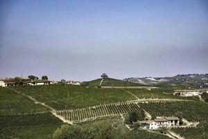 de wijngaarden in de piemontese langhe in de herfst ten tijde van de druivenoogst foto