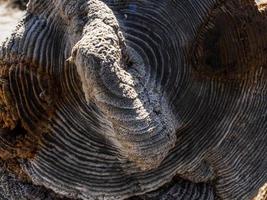 natuurlijke houten shabby foto