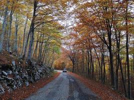bergweg in de herfst in abruzzo, italië foto