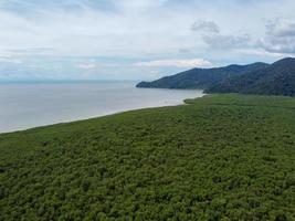 luchtfoto mangrovebos aan zee kust foto