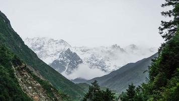 weelderig groen bedekte berghelling van de Himalaya en bronnen van gletsjerwater. foto