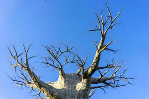 kunstmatige boom op een blauwe hemelachtergrond foto