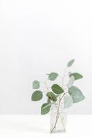 groen blad witte krans frame gemaakt van verse tijm spice geïsoleerd op wit. foto