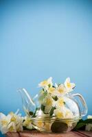 bloeiend jasmijn bloemen in een glas theepot, geïsoleerd Aan een blauw achtergrond foto