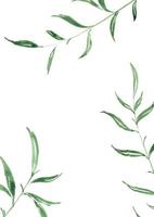 bruiloft sjabloon met abstracte achtergrond. vector achtergrond met groen blad en witte achtergrond. blad creatieve achtergrond met natuurlijke bladsamenstelling
