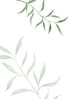 bruiloft sjabloon met abstracte achtergrond. vector achtergrond met groen blad en witte achtergrond. blad creatieve achtergrond met natuurlijke bladsamenstelling
