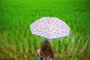 Aziatische vrouwen reizen ontspannen in de vakantie. Het meisje glimlachte blij en genoot van de regen die viel. reizen in countrysde, groene rijstvelden, reizen thailand. foto