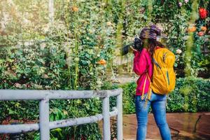 vrouw reizen natuur fotograferen in de rozentuin. veelkleurige rozen mooi bij doi inthanon chiangmai in thailand. foto