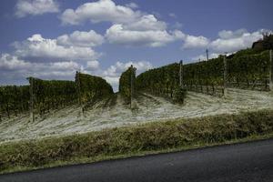 de wijngaarden in de piemontese langhe in de herfst foto