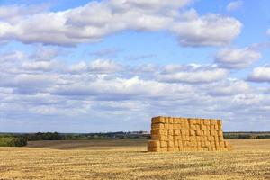 een grote stapel stro tegen de achtergrond van een breed veld en blauwe bewolkte hemel na de oogst. foto