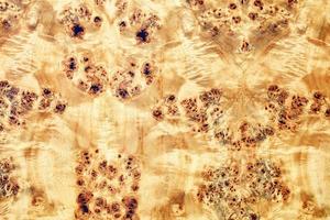 mooie vlekkerige ondergrond van houtfineer met luipaardprints.