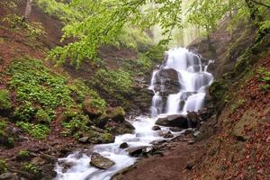 mooie en pittoreske waterval op een bergrivier in het karpatenbos in oekraïne. foto