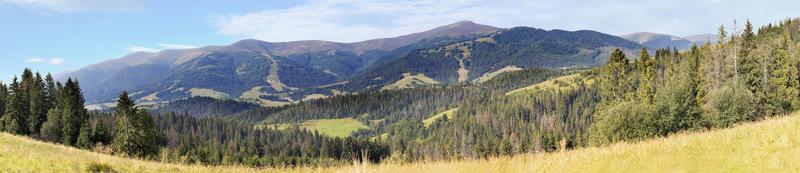 prachtig panorama van de Karpaten in de zomer in de stralen van de ochtendzon. foto