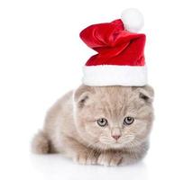 kleine Schotse kitten in rode kerstmuts liggend in vooraanzicht. geïsoleerd op witte achtergrond