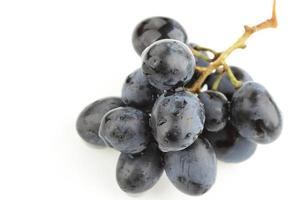 tros zwarte druiven geïsoleerd op witte achtergrond