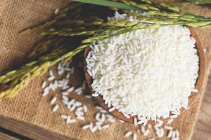 jasmijn witte rijst in houten kom en geoogst geel rip rijstveld op zak, oogst rijst en voedselkorrels kookconcept