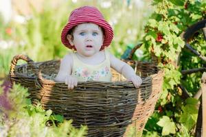 een schattig klein meisje zit op een hooi in een mand in de tuin foto