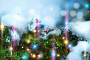 kerstschets met dennen, lichtslinger, sneeuw en plaats voor uw bericht foto