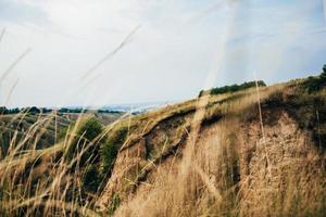 een man met een meisje in lichte kleding op de achtergrond van een groene canyon foto