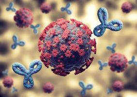 immuunrespons tegen coronavirus en covid-19. antilichamen geactiveerd door vaccin, aanvallende virussen in het menselijk lichaam foto