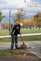izmir, turkije 2021 - man verzamelt gedroogde bladeren in het park foto