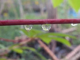 close-up van waterdruppel op blad foto