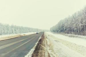 het winterbos bij de weg, overdag foto