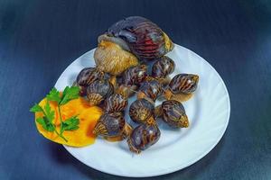 druivenslakken, akhatina, op een bord, als ruw voedsel, een rawism