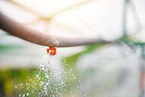 springer water in de tuin boerderij groente kas foto
