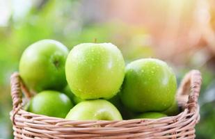 groene appels - oogst verse appel in de mand verzamel fruit in de tuin foto