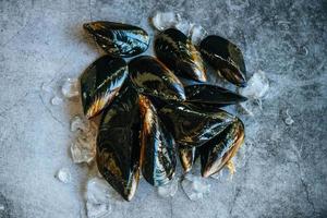 verse zeevruchten schaaldieren in het restaurant of te koop in de markt mosselschelp voedsel - rauwe mosselen met ijs en donkere plaat achtergrond