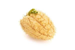 stekelige chayote squash fruit geïsoleerd op een witte achtergrond. sechium edule foto