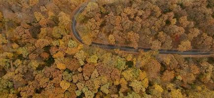 luchtfoto op de weg in het herfstbos