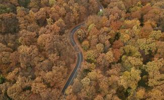 luchtfoto op de weg in het herfstbos