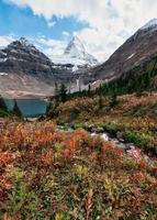 mount assiniboine met meer magog in herfstbos in provinciaal park foto