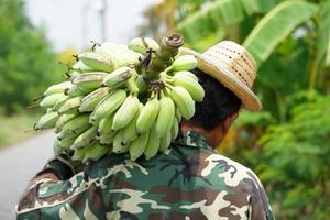 boer die groene bananen draagt foto