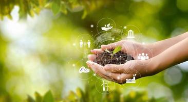 hand bomen planten met technologie van hernieuwbare bronnen om vervuiling te verminderen esg icoon concept in de hand voor milieu, sociaal en duurzaam bedrijfsbestuur. foto