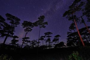 prachtige nachtelijke hemel vol sterren natuurlijke achtergrond foto