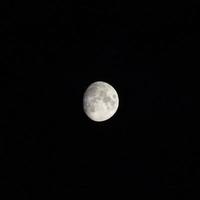 maan 's nachts foto