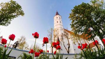 lage kijkhoek st. peter en paul kathedraal in de stad siauliai. katholieke kerken in litouwen. reisbestemming zon stad landmark foto