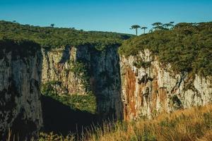 itaimbezinho-canyon met steile rotswanden die door een vlak plateau gaan dat door bos wordt bedekt in de buurt van cambara do sul. een klein stadje in het zuiden van Brazilië met verbazingwekkende natuurlijke toeristische attracties. foto