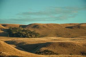 landschap van landelijke laaglanden genaamd pampa's met bosjes en heuvels bedekt met droge struiken bij zonsondergang in de buurt van cambara do sul. een klein stadje in het zuiden van Brazilië met verbazingwekkende natuurlijke toeristische attracties. foto