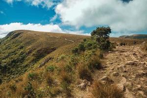 rotsachtig pad omhoog door droge struiken naar een klif bovenop de Fortaleza-kloof op een zonnige dag in de buurt van cambara do sul. een klein stadje in het zuiden van Brazilië met verbazingwekkende natuurlijke toeristische attracties. foto